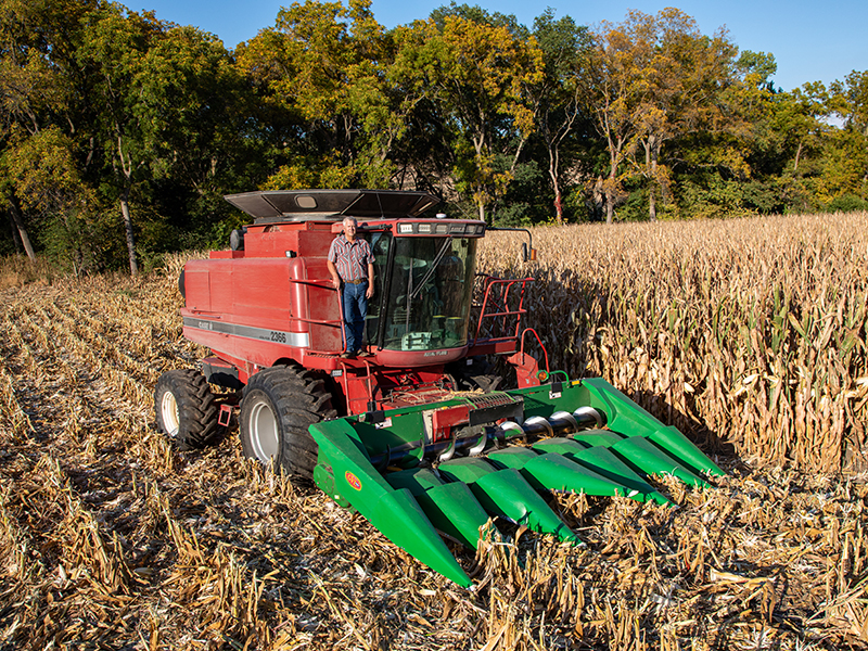 man standing on combine in a corn field