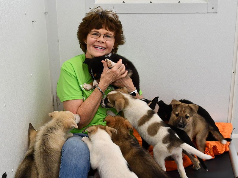 woman with dogs