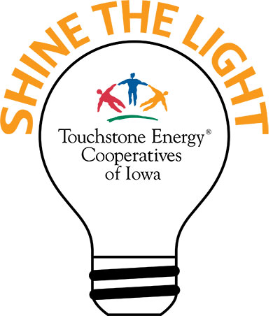 Shine the light logo