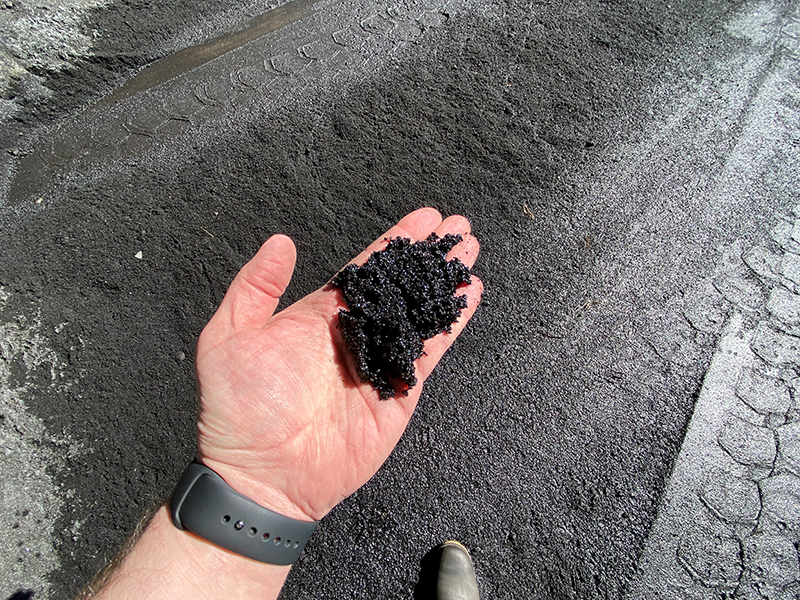 2022-black-ash-in-hand-800px.jpg