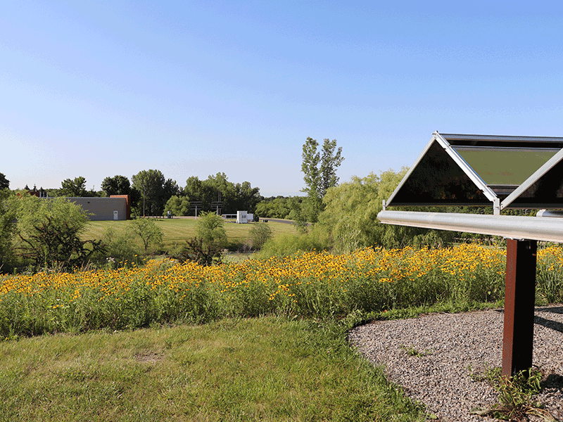 Wright-Hennepin,-panels-and-petals.png