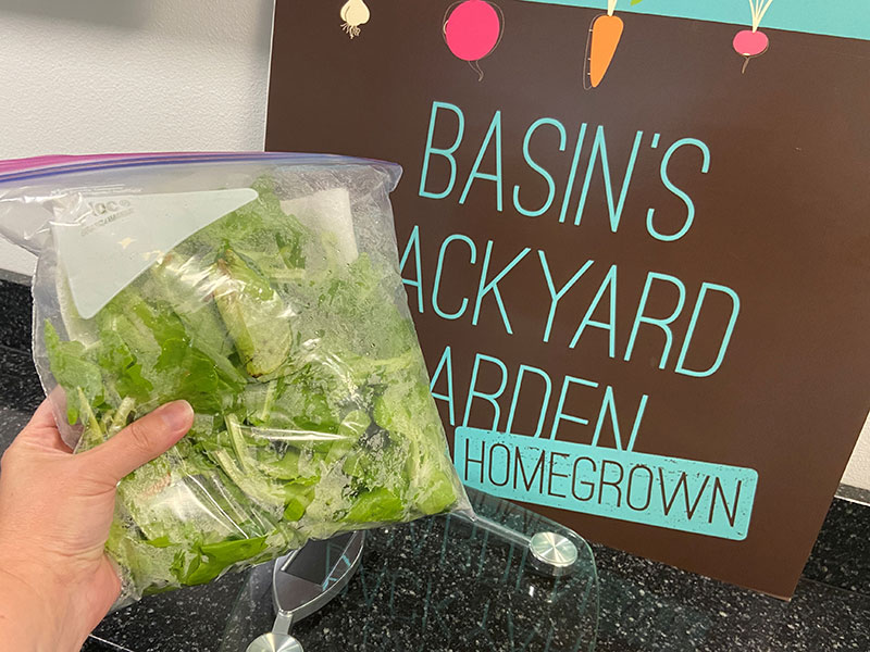 lettuce held in front of sign that says Basin's Backyard Garden