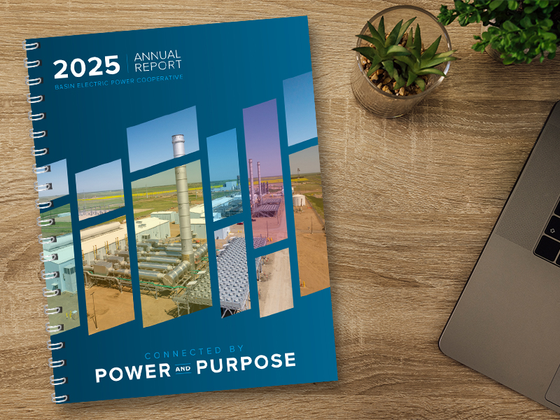 2025 Annual report