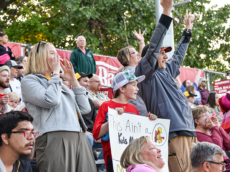 Fans cheering at a Larks game