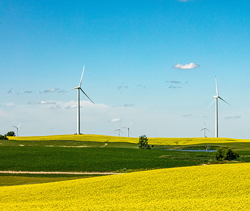 Turbines at Prairie Winds