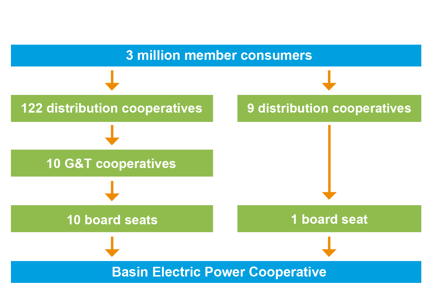 Basin Electric governance model