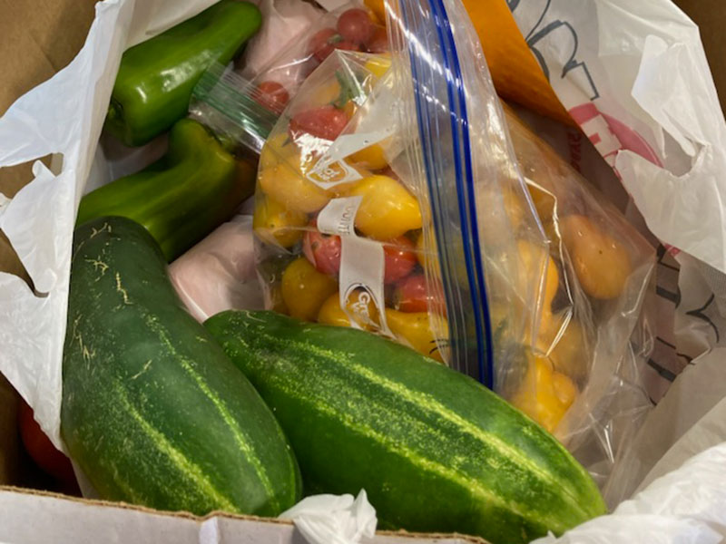 cucumbers and tomatoes