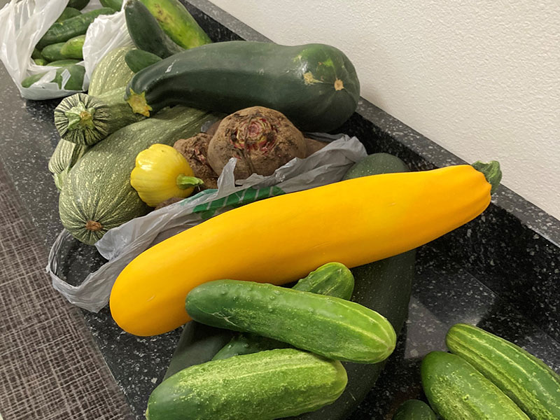 pile of vegetables including zucchini and beets